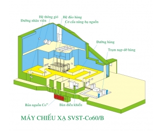 CÆ¡ sá»Ÿ chiáº¿u xáº¡ sá»­ dá»¥ng Co-60